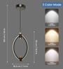 Transparent LED Pendant Light with 3 Color Modes
