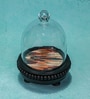 Transparent Mango Wood Cloche