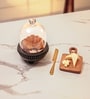 Transparent Mango Wood Cloche