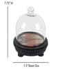 Transparent Mango Wood Cloche