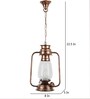 Livo Transparent Metal Hanging Light