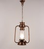Livo Transparent Metal Hanging Light
