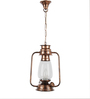 Livo Transparent Metal Hanging Light