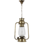 Kartos Transparent Metal Hanging Light