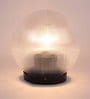 Merlin Transparent PVC Garden Light