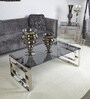 Travon Coffee Table in Silver Colour