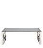 Travon Coffee Table in Silver Colour