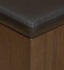 Trendy Coffee Table with Storage Stool in Walnut Colour