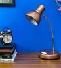 Trendy Copper Metal Study Lamp