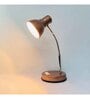 Trendy Copper Metal Study Lamp
