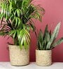 Set Of 2 Off White Palm Leaf Handwoven Multipurpose Planter & Storage Basket