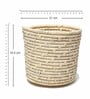 (1Pc) Off White Palm Leaf Handwoven Multipurpose Planter & Storage Basket