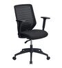 Trenton Breathable Mesh  Mid Back Ergonomic Chair in Black Colour