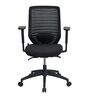 Trenton Breathable Mesh  Mid Back Ergonomic Chair in Black Colour