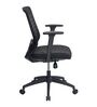 Trenton Breathable Mesh  Mid Back Ergonomic Chair in Black Colour