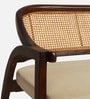 Trevor Teak Wood Rattan Bench In Beige Color