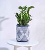 Trinket Blue Cotton Planter