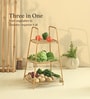 Trio Organizer
