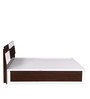Tristar Queen Bed with Storage in Brown & White Finish