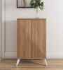 Trixie 2 Door Shoe Cabinet In Oak Finish