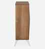 Trixie 2 Door Shoe Cabinet In Oak Finish