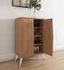 Trixie 2 Door Shoe Cabinet In Oak Finish