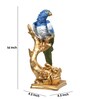 Tropical Symphony Parrot Multicolour Polyresin Figurine