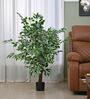 Tropicana Banyan Green Plastic Artificial Tree Without Pot