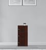 Nilkamal Troy File Cabinet in Walnut Finish