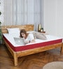 Tru Spring with NPSS Tech. HR Foam 6 Inches King Size Mattress in Red Colour