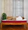 Tru Spring with NPSS Tech. HR Foam 6 Inches Single Size Mattress in Red Colour