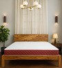 Tru Spring with NPSS Tech. HR Foam 8 Inches King Size Mattress in Red Colour