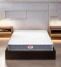 Tru Spring with NPSS Tech. HR Foam 8 Inches Queen Size Mattress in Grey Colour