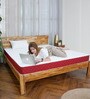 Tru Spring with NPSS Tech. HR Foam 8 Inches Queen Size Mattress in Red Colour