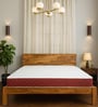 Tru Spring with NPSS Tech. HR Foam 8 Inches Single Size Mattress in Red Colour
