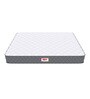 Tru Spring with NPSS Tech Maroon 10 Inch Bonnell Spring & HR Foam Single Size Mattress