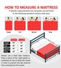 Tru Spring with NPSS Tech Red 8 Inch Bonnell Spring & HR Foam Queen Size Mattress