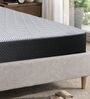 Truben Pinhole Latex Foam 8 Inches Queen Size Mattress in Grey Colour