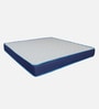 Truben Pinhole Latex Foam 8 Inches Queen Size Mattress