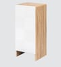Trudo  10 Pair Shoe Cabinet In Oak & White finish