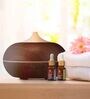 True Joy & Gentle Peace (Set of 3) Wooden Diffuser with 2 Aroma Oil Bottles
