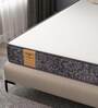 TrueLove Collection Pro 6 inches Pocketed Spring Single Size Mattress