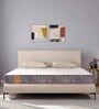 TrueLove Collection Pro 6 inches Pocketed Spring King Size Mattress