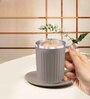 Brown Plastic Insulated 400 ml Coffee Mug