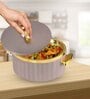 Grey Plastic & Stainless Steel Food Grade Thermoware 2500 ml Casserole
