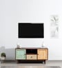 Trumbauer Solid Wood TV Console In Distress Finish For TVs Up To 43"