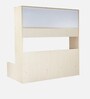 Optima Kids Sofa cum Bed in Green Colour with Box Storage