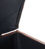 Trunk Leatherette Bench in Lama Brown Colour with Storage