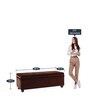 Trunk Leatherette Bench in Lama Brown Colour with Storage