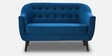 Tuft Velvet 2 Seater Sofa in Blue Colour
